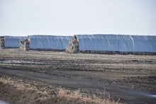 Load image into Gallery viewer, Haystack Covers
